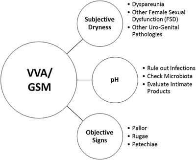 Addressing Vulvovaginal Atrophy (VVA)/Genitourinary Syndrome of Menopause (GSM) for Healthy Aging in Women